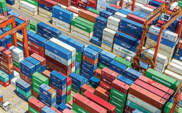 Doanh nghiệp xuất khẩu điêu đứng vì đứt gãy chuỗi cung ứng logistics